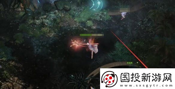 命運(yùn)方舟大雨林摩可可種子怎么收集