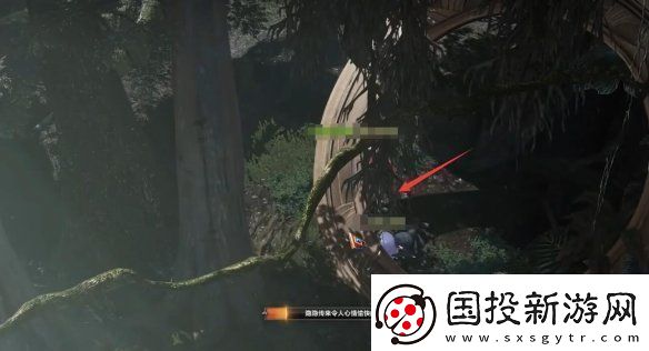 命運(yùn)方舟大雨林摩可可種子怎么收集