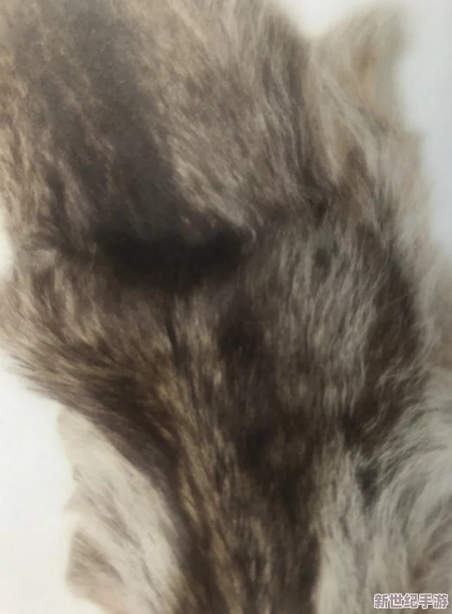 AAAA級(jí)毛皮是純還是仿-用戶評(píng)價(jià)：質(zhì)量超出預(yù)期-手感柔軟-值得購(gòu)買！