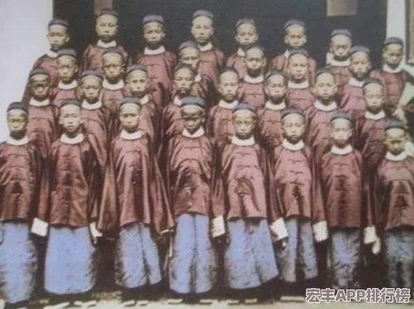 口袋妖怪對戰(zhàn)新紀(jì)元：新手必學(xué)實(shí)戰(zhàn)策略與高效培養(yǎng)技巧大公開