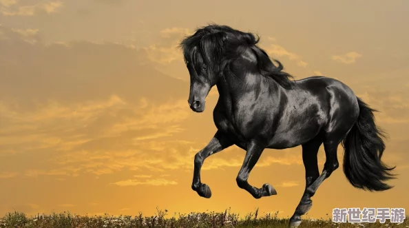 珍稀幼兒小馬拉