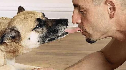 你TM別舔了-快來(lái)看看你不知道的那些精彩瞬間！