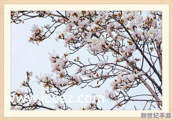 三浦惠理子肉欲熟婦中出-深入探討她在情感和欲望碰撞中的真實(shí)表現(xiàn)與魅力體現(xiàn)