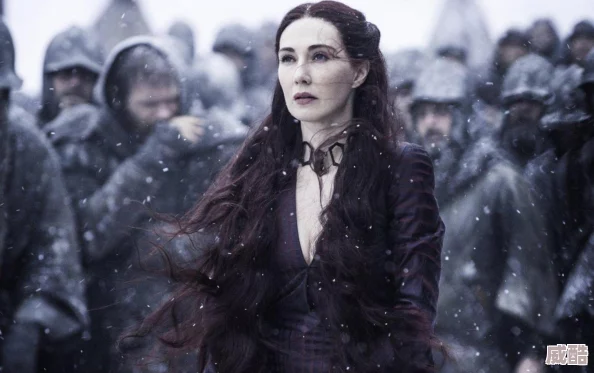 坐在教授的大根莖上背單詞-輕松掌握英語(yǔ)詞匯-提升學(xué)習(xí)效率的秘訣分享