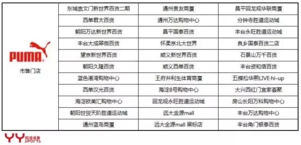 引領(lǐng)潮流風(fēng)尚：精選籃球?qū)熛到y(tǒng)全面剖析與個(gè)性化選擇策略指南