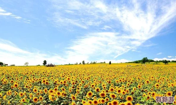 花花世界免費(fèi)看電影-暢享無廣告觀影體驗(yàn)-帶你領(lǐng)略精彩影片的無限魅力與樂趣！