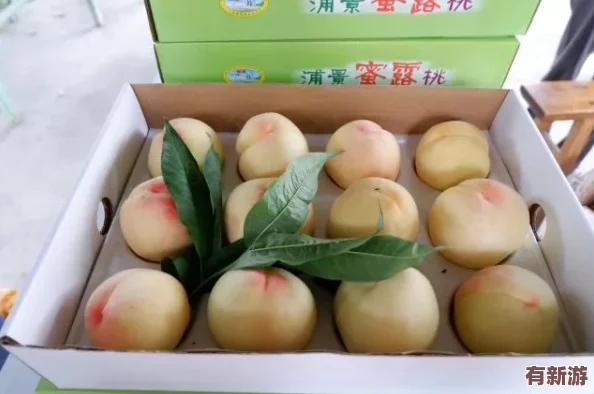 一區(qū)二區(qū)三區(qū)水蜜桃＂熱銷市場-消費者紛紛追捧其獨特口感與優(yōu)質品質-成為夏季水果新寵