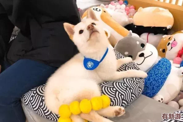 羞羞百度首頁入口：傳聞某明星將與知名網(wǎng)紅合作-或?qū)⒃谄脚_上發(fā)布獨家內(nèi)容引發(fā)熱議！