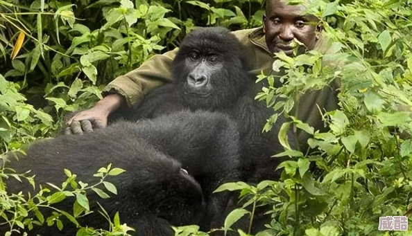 被黑人狂躁到抽搐-目擊者稱現(xiàn)場氣氛緊張-疑似因爭執(zhí)引發(fā)沖突-眾人紛紛圍觀拍攝！