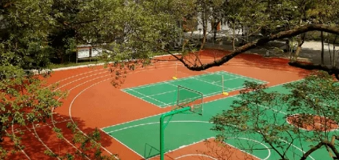 拳交：一種獨(dú)特的性行為方式-探討其文化背景與社會(huì)接受度的變化及影響