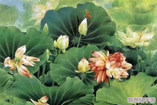 千層蓮花裹莖術(shù)怎么練