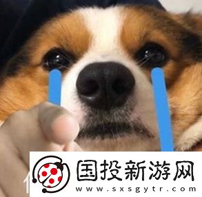 又幸福了是什么梗網(wǎng)絡(luò)用語-又幸福了梗意思及出處分享