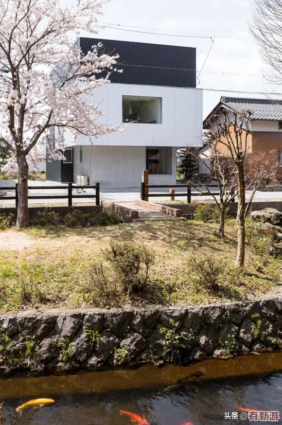 櫻桃視頻免費！內(nèi)部員工曝料：公司高層涉嫌利用用戶隱私牟利-引發(fā)網(wǎng)友熱議