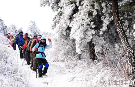 仙境傳說(shuō)：守護(hù)永恒之愛(ài)的勇者征途——全面冒險(xiǎn)任務(wù)策略與心得分享