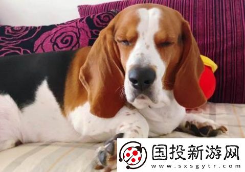 悶聲發(fā)大悶是什么梗網絡用語-悶聲發(fā)大悶梗意思及出處分享