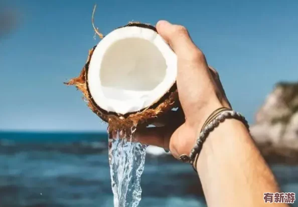 椰子酒升級效果