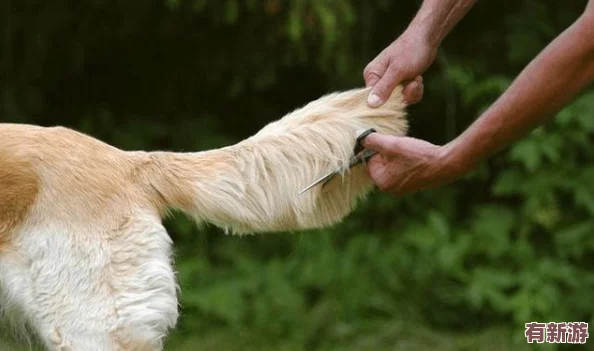 你TM別舔了！這句話背后隱藏著怎樣的情感與故事