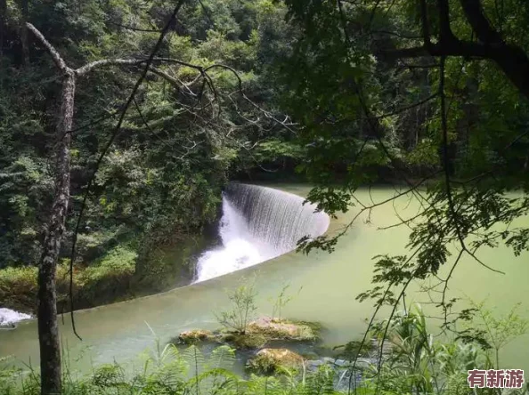 啊灬輕點(diǎn)大巴又粗又長(zhǎng)故事：一段關(guān)于友情與成長(zhǎng)的奇妙旅程-帶你領(lǐng)略生活中的幽默與感動(dòng)