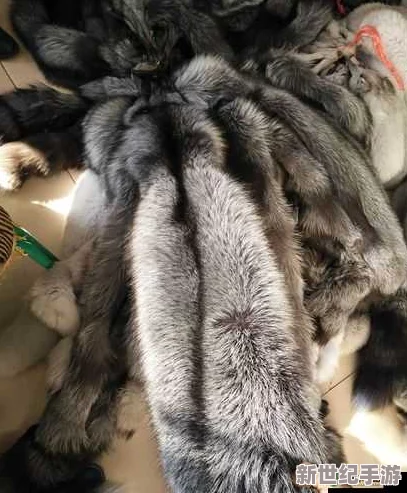 AAAA級(jí)毛皮屬于什么檔次