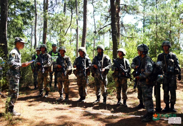 叢林肉搏4.5團(tuán)該干嘛-探討團(tuán)隊(duì)建設(shè)與戰(zhàn)術(shù)提升的有效策略與實(shí)踐方法