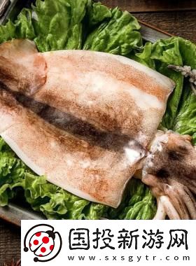 科技界的魷魚盛宴：B25777直擊你的驚喜神經(jīng)！