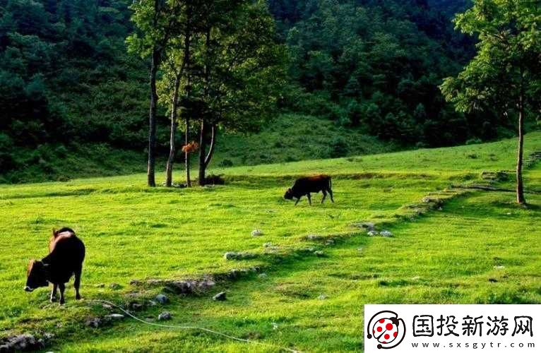 伊春園一路二路三路入口：風(fēng)景與便捷的匯聚處