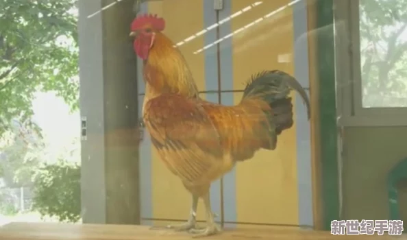 呆哥：從網(wǎng)絡(luò)紅人到商業(yè)巨頭-他的成功之路引發(fā)了社會各界的廣泛關(guān)注與討論