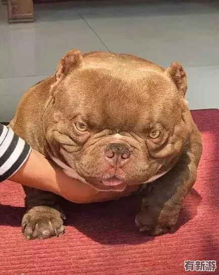 一小孩半夜喂女孩吃押巴