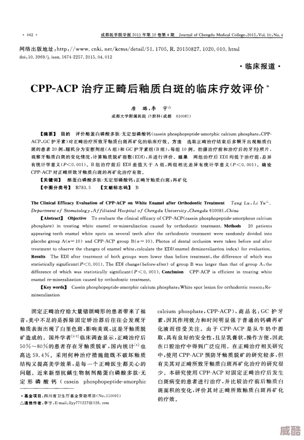 17c38.cpp：深入解析與應(yīng)用的全面指南