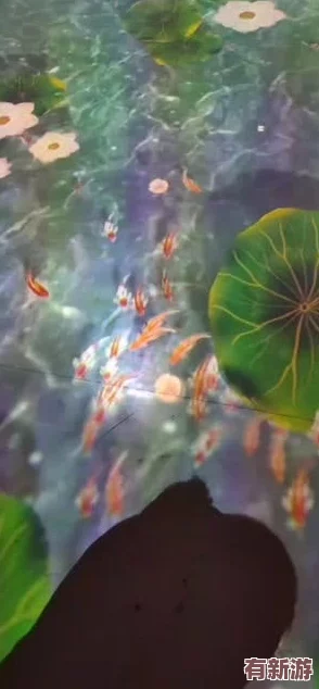 凸輪-自由-性別-管-隱藏-如魚得水-自在而無拘束