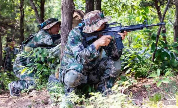 叢林肉搏4.5團(tuán)該干嘛