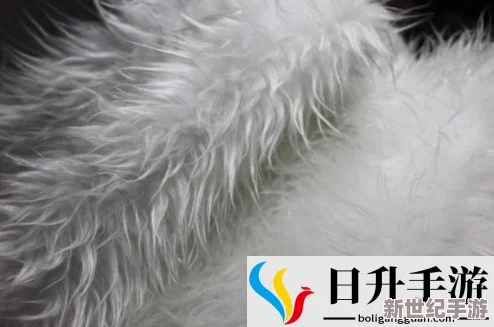 AAAA級(jí)毛皮屬于什么檔次-從品質(zhì)、用途和市場(chǎng)價(jià)值來看-如何評(píng)估其在毛皮行業(yè)中的地位與影響力