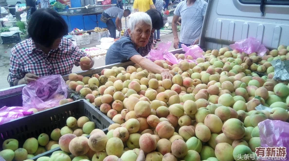 水蜜桃12：了解水蜜桃的生長特點、營養(yǎng)成分與美味食用方法-提升你的水果享受體驗