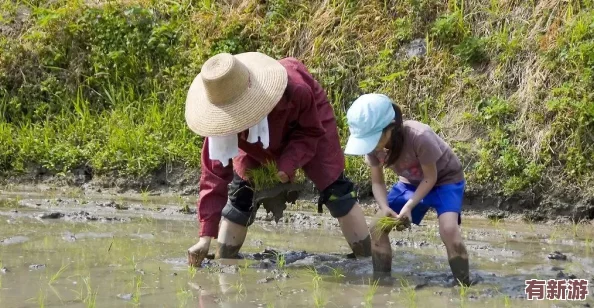 兒子給媽媽耕田叫什么名字