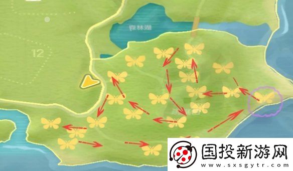 心動小鎮(zhèn)金光寶石麗金龜怎么抓