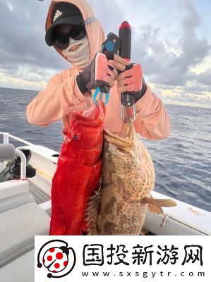 劍網(wǎng)3狼牙堡燕然峰石斑打法攻略詳解【必看】