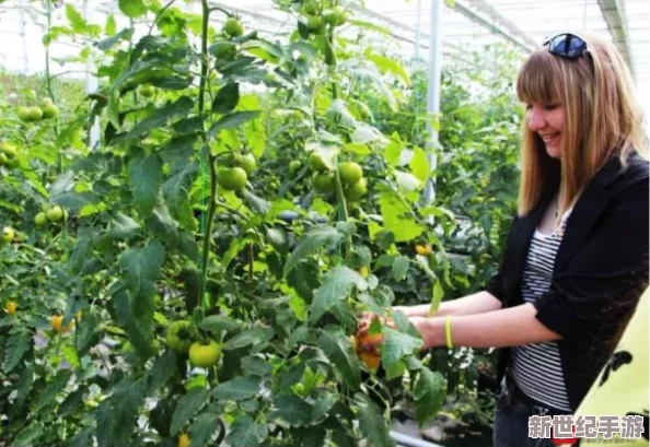 拔蘿卜不蓋被子儀態(tài)萬千——探討田園生活中的農(nóng)作物采摘與傳統(tǒng)習(xí)俗的魅力和意義