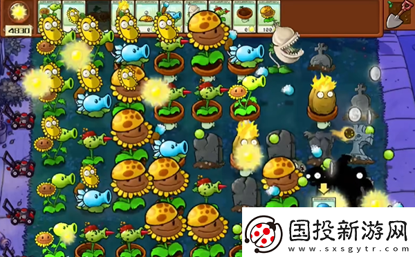 植物大戰(zhàn)僵尸雜交版冒險(xiǎn)5關(guān)怎么過(guò)
