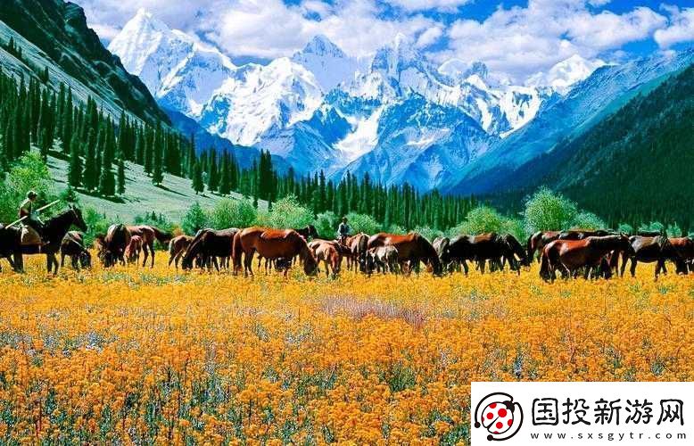 XXXXXL19D-新疆：特色風情之旅