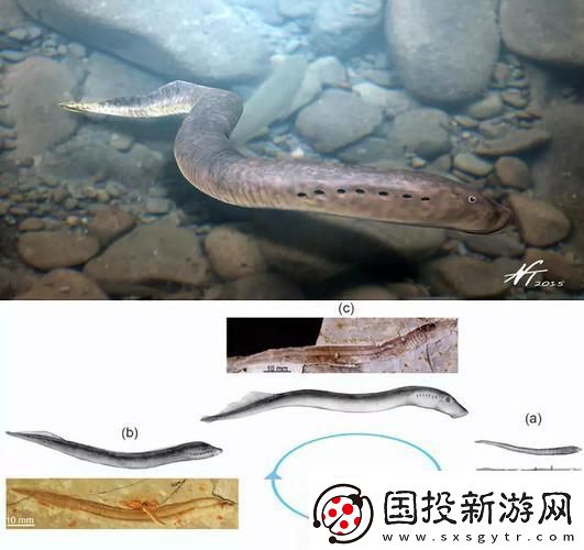 “左三右三-扭擺如鰻-邁步如蛭：科技界的‘魔法’舞步”