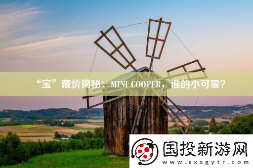 “寶”藏價揭秘：MINI-COOPER-誰的小可愛