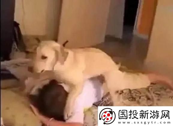 女人跟金毛發(fā)生產(chǎn)關(guān)系怎么辦-友：面對(duì)情感和責(zé)任的平衡