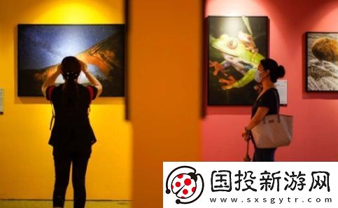 看展式社交是什么梗網(wǎng)絡(luò)用語-看展式社交梗意思及出處分享