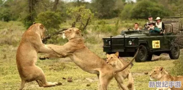 狂野動(dòng)物園震撼亮相