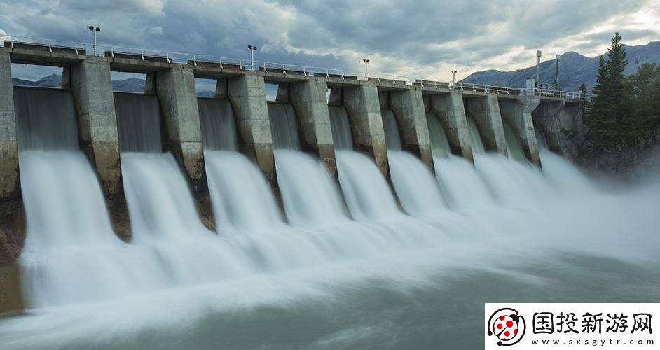 大BW毛毛多巨大Bw大Bw：探尋奇妙的毛發(fā)世界