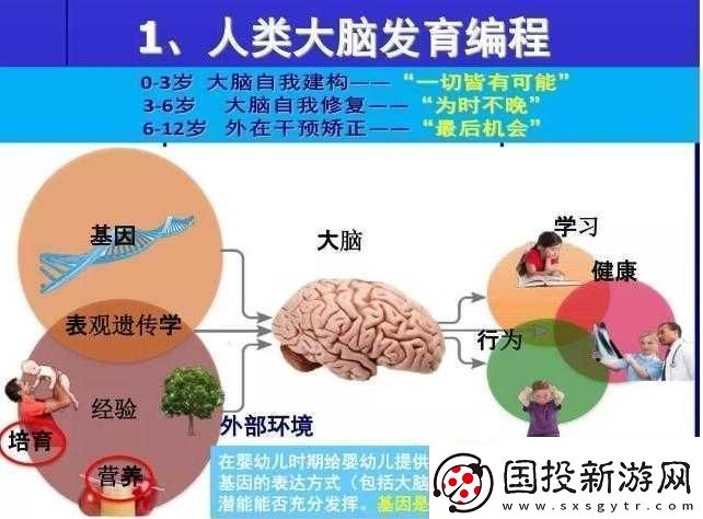 探索暴走武俠全角色成長(zhǎng)之路：數(shù)據(jù)揭秘成長(zhǎng)規(guī)律