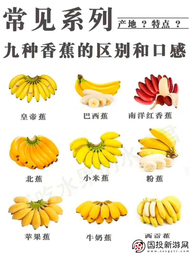 國產(chǎn)香蕉和進(jìn)口香蕉的價(jià)格比較：市場現(xiàn)狀與消費(fèi)者選擇