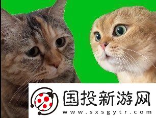 貓貓對話是什么梗絡(luò)用語-貓貓對話梗意思及出處分享