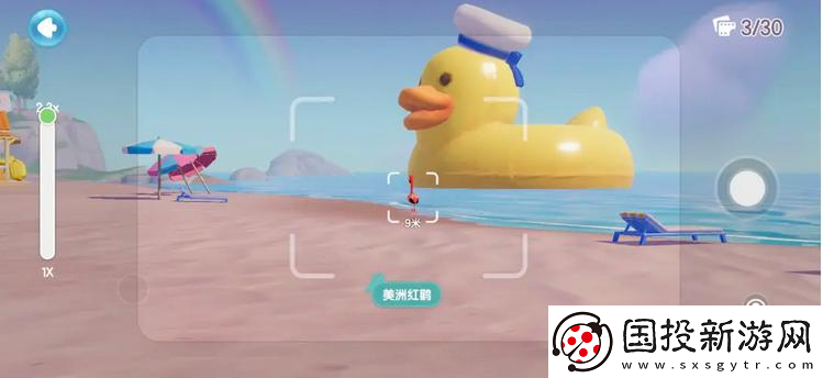 心動小鎮(zhèn)海鷗在哪