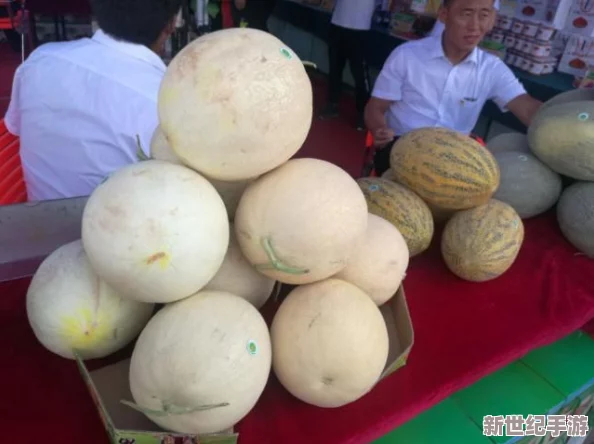 蜜瓜啦啦啦菠蘿蜜啦啦啦歌曲